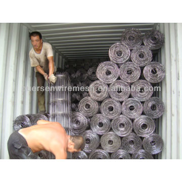 Professional Reinforced Welded Wire Mesh Construction Panel